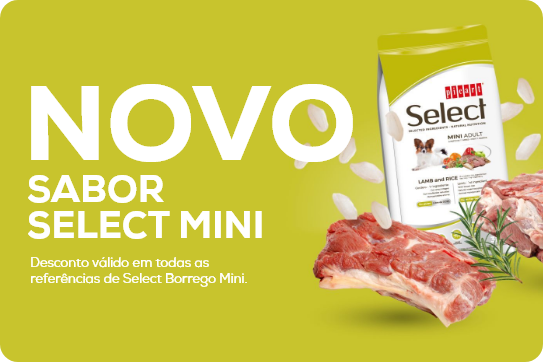 Picart Select - Novo Sabor Borrego